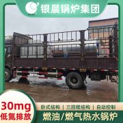 WNS5-1.25-QY燃气蒸汽锅炉万搏官方网站_万搏wanbo(中国)
