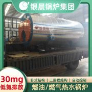 WNS0.2-0.7-QY低氮蒸汽锅炉万搏官方网站_万搏wanbo(中国)
