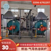 6吨低氮蒸汽锅炉万搏官方网站_万搏wanbo(中国)
