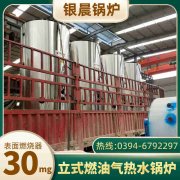 2吨低氮冷凝蒸汽锅炉万搏官方网站_万搏wanbo(中国)
