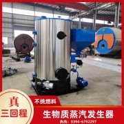 5吨天然气锅炉