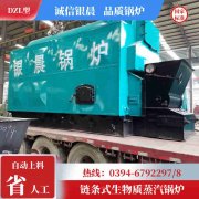 燃煤 燃气锅炉